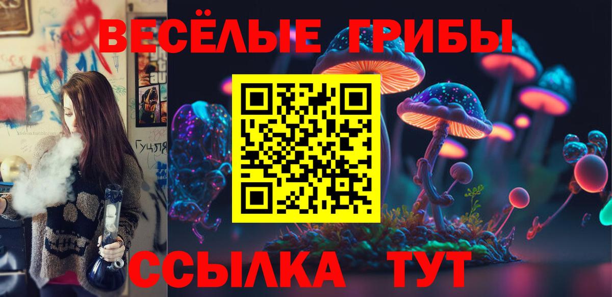 Россия  наркота  Псилоцибиновые грибы Psilocybe  Вход с VPN  Псилоцибиновые грибы мухоморы 