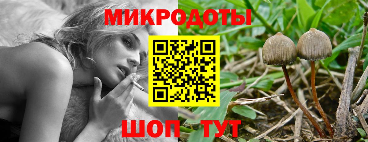 Галлюциногенные грибы Cubensis Россия