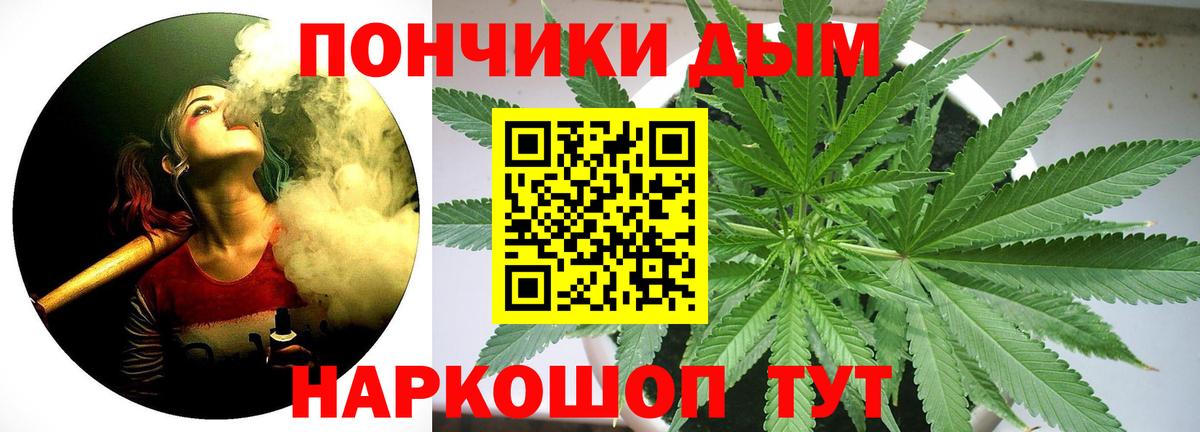 МАРИХУАНА ГИДРОПОН Россия